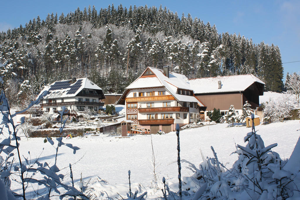 Schlosshof - Der Urlaubsbauernhof Villa Elzach Esterno foto