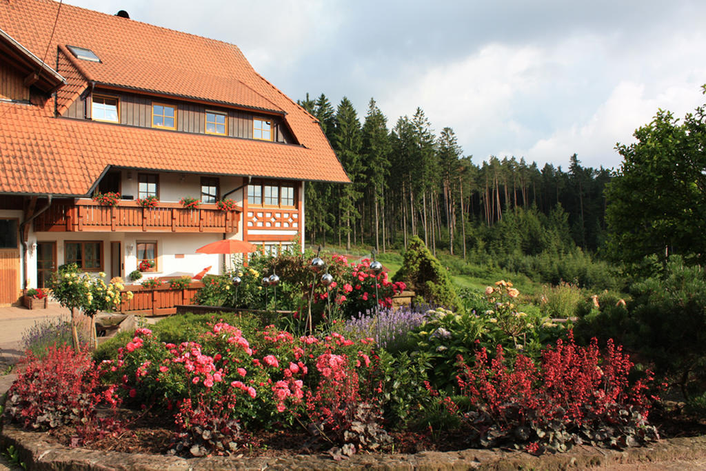 Schlosshof - Der Urlaubsbauernhof Villa Elzach Esterno foto